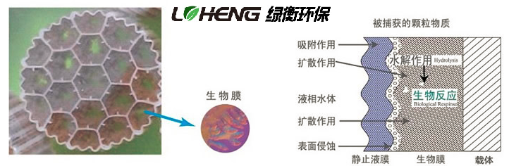 1562120709980534.png 圖片3.png